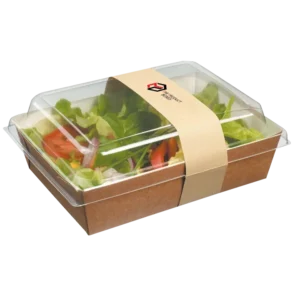 clear lid boxes with kraft base