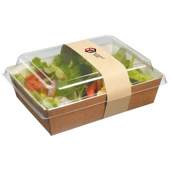 clear lid boxes with kraft base