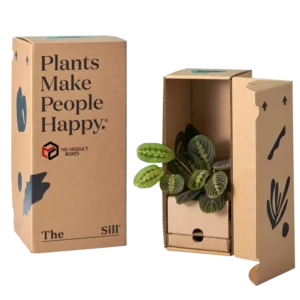 plant cardboard boxes