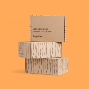 Eco Friendly Mailer Boxes