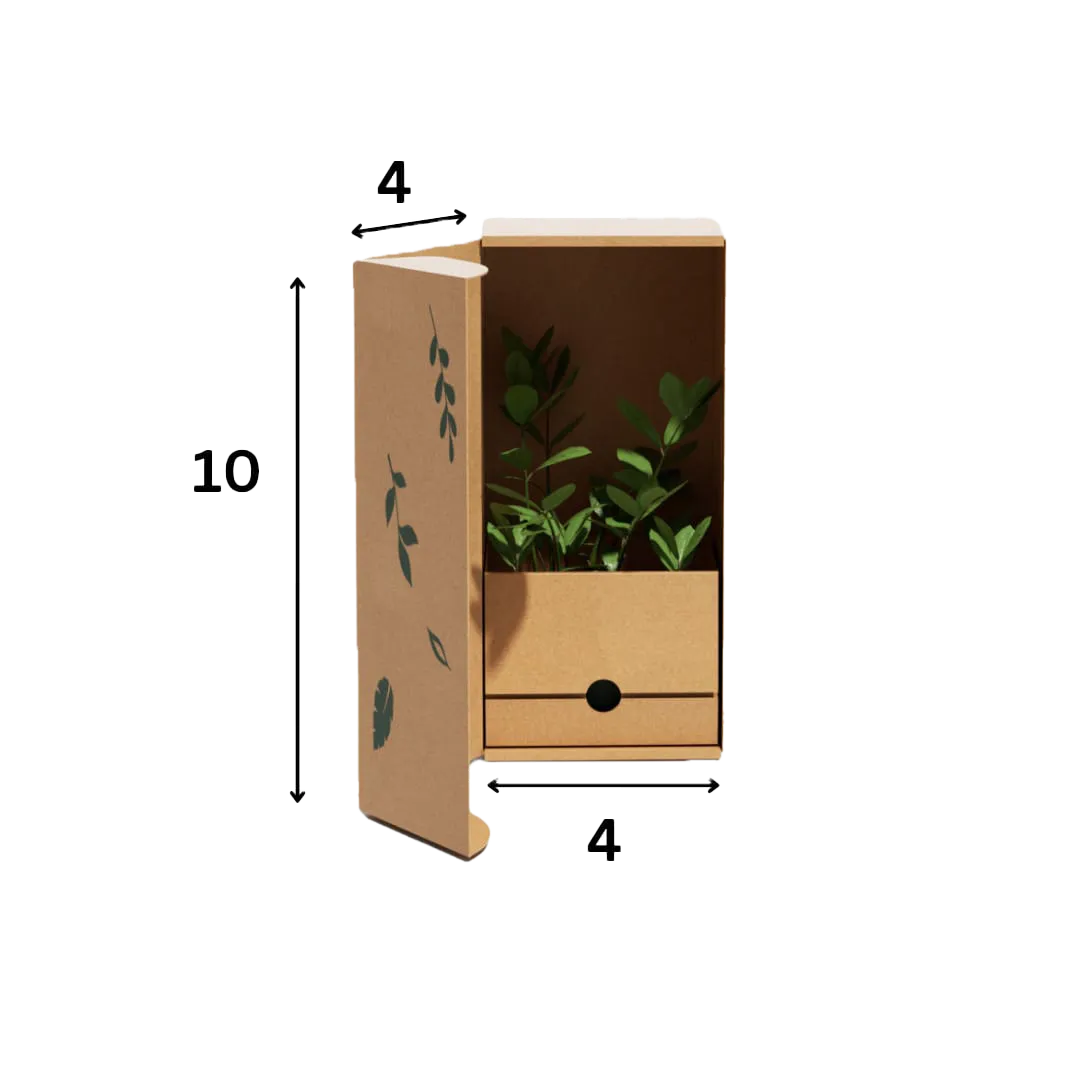 10 inch plant Shipping Boxes